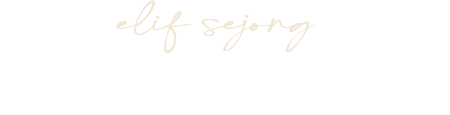 엘리프 세종 스마트시티